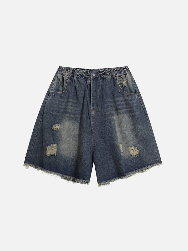 Aelfric Eden Distressed Washed Jorts