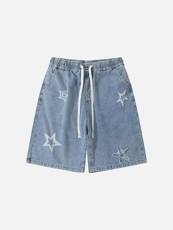 Aelfric Eden Embroidery Star Washed Jorts