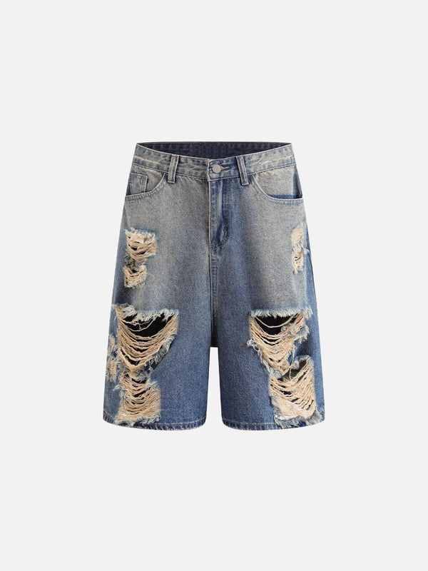 Aelfric Eden Multi Distressed Jorts